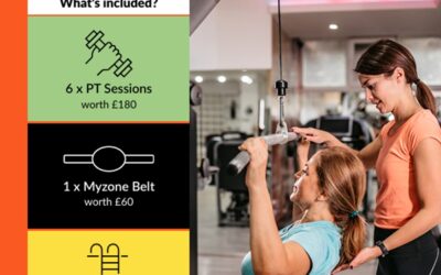 3 month membership offer
